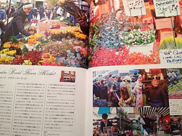 宝島社「FLOWER FAIRIES 花の妖精たちのひみつ」
